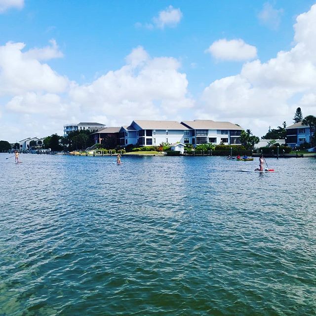 SIESTA KEY PADDLEBOARDS #siestakeypaddleboards #siesta #siestakey