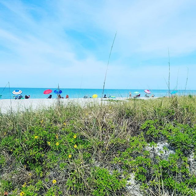 Siesta Key Paddleboards and Siesta Key Onewheels. #siestakeyonewheels #siestakeypaddleboards #sarasotaonewheels #siestakey