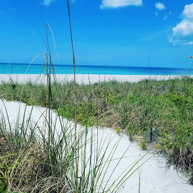 The Gulf looks so inviting! Come visit us soon!  #siestakeypaddleboards #siesta #siestakey #siestakeyonewheels #siestakeybeachwheelchair