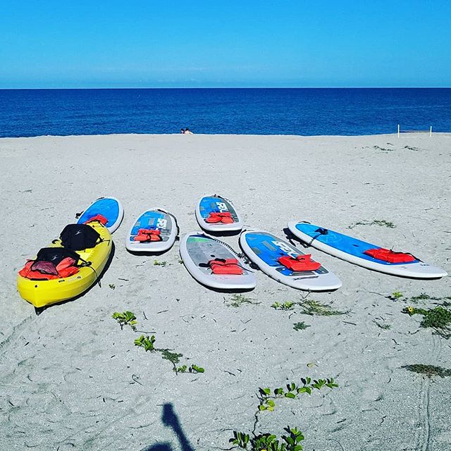 Come one come all! #siestakeypaddleboards #siesta #siestakey