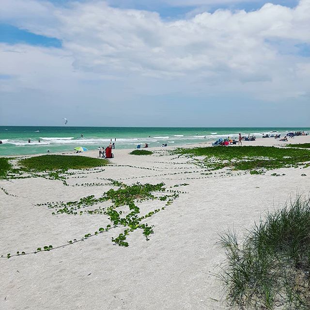 Windy here today on Siesta Key! #siestakeypaddleboards #siestakey #turtlebeach