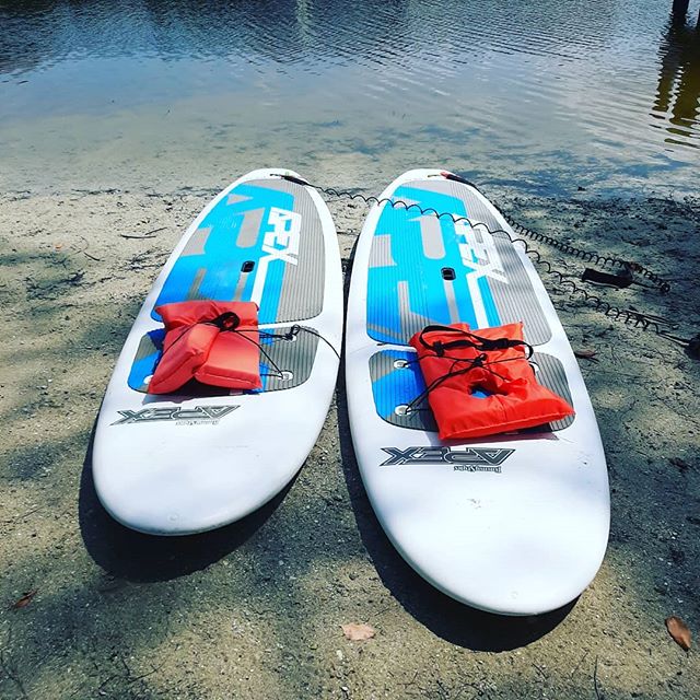They're waiting for you...#siestakeypaddleboards #siestakey #siesta #paddleboarding