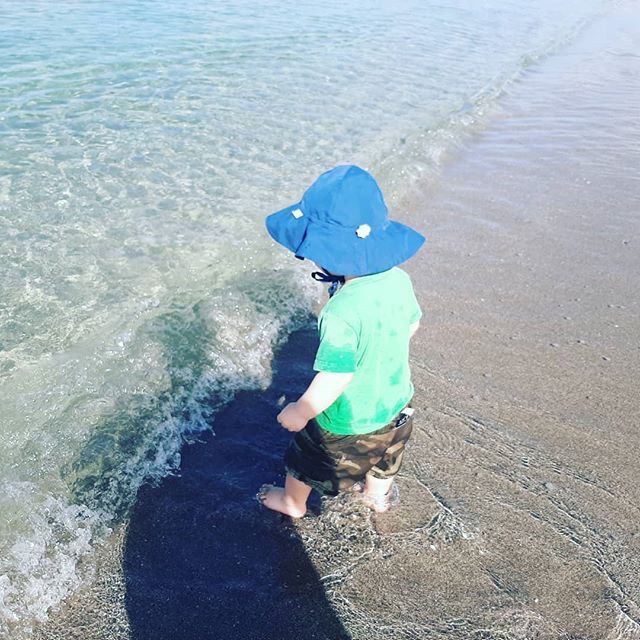 Cooper hard at work today at @siestakeypaddleboards #siestakey #siestakeypaddleboards