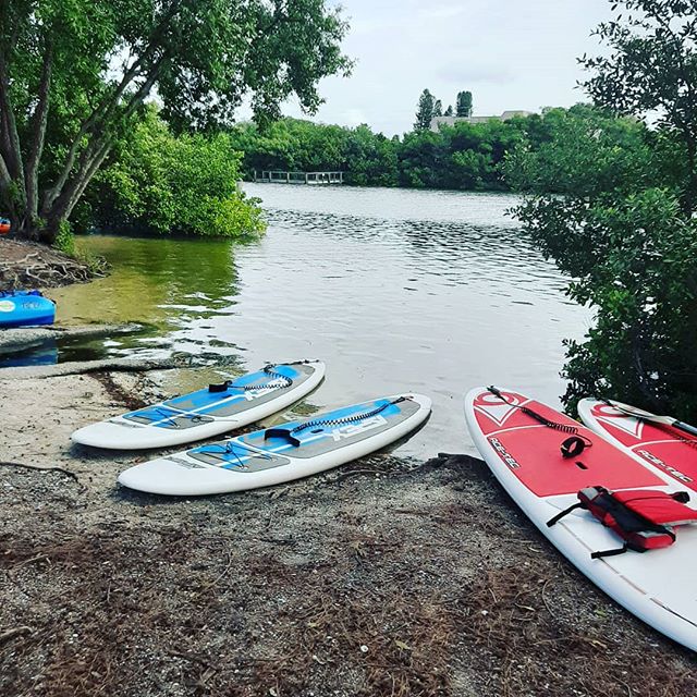 Great afternoon to paddle! #siestakey #siestakeypaddleboards