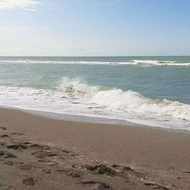 Nice day to catch a wave! #siestakey #siestakeypaddleboards #siesta