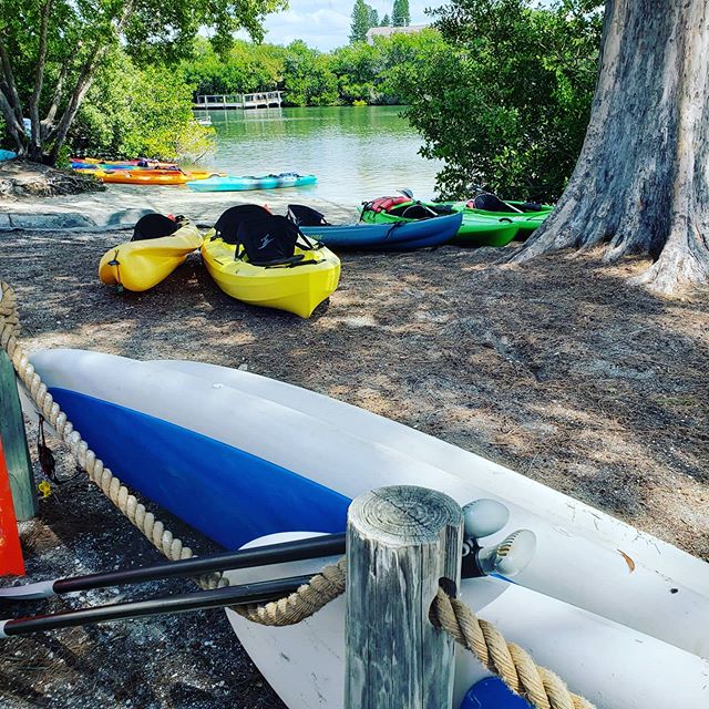 #siestakeypaddleboards #siestakey #siesta #springbreak Spring is officially here!!!