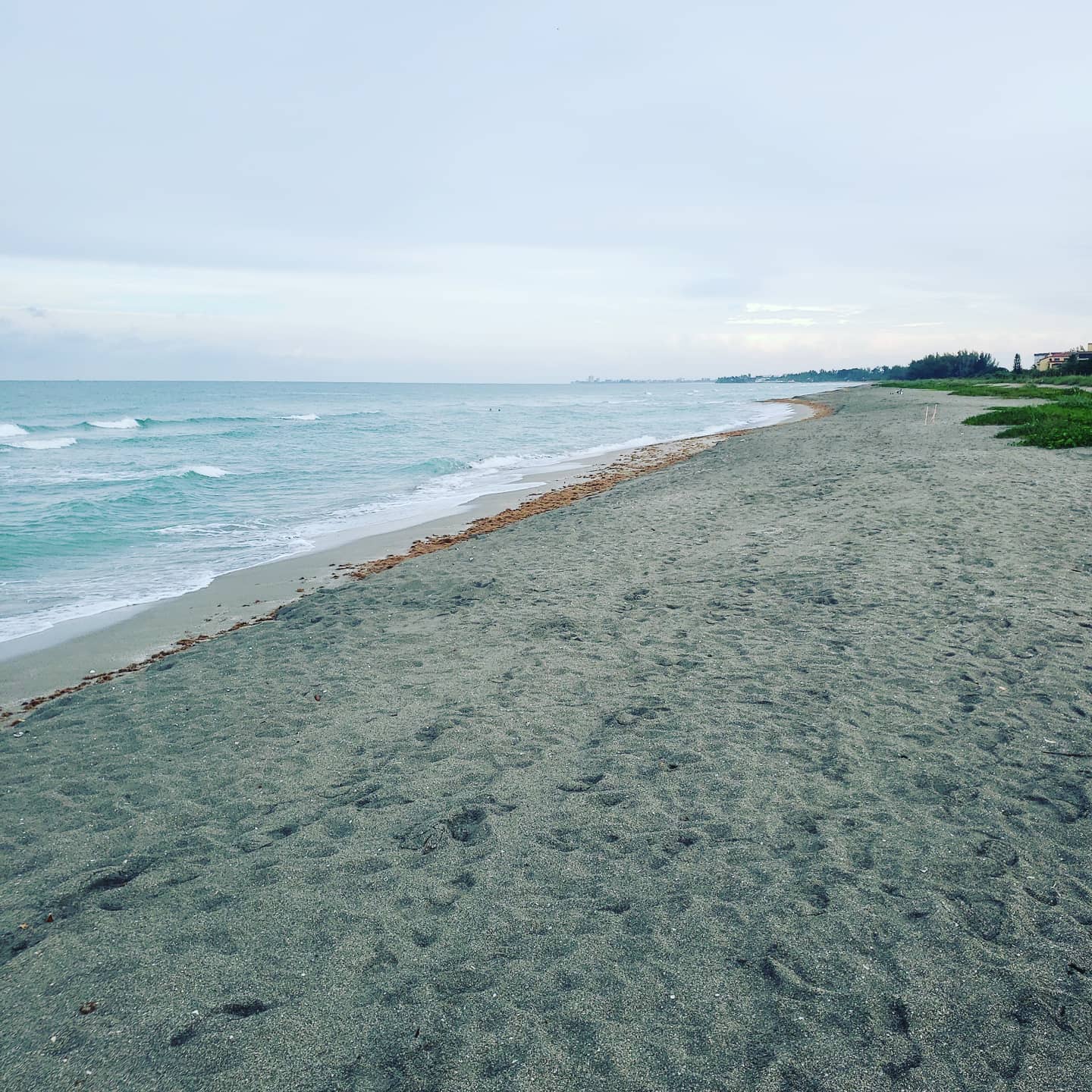 "Rain Days" are often the best days to paddle! #siestakey #siestakeypaddleboards  #siesta