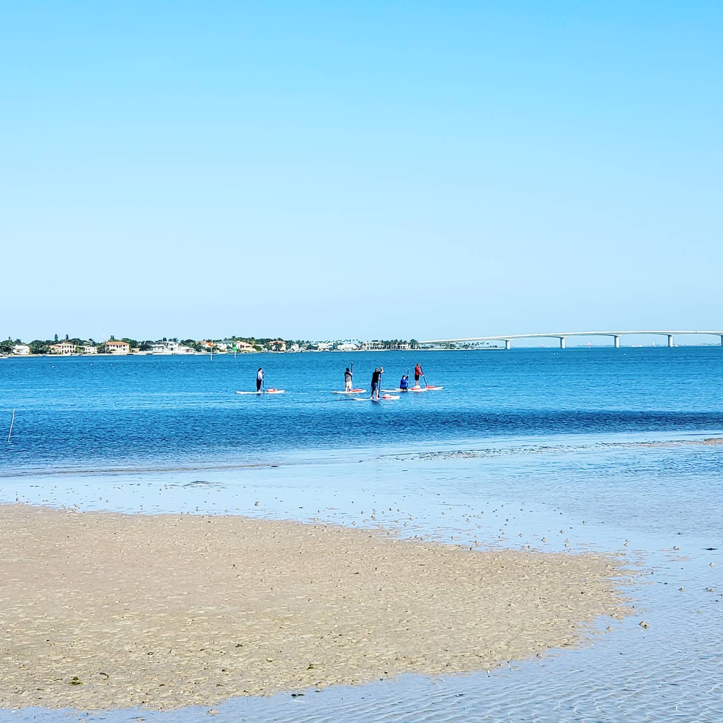 A beautiful morning for paddleboarding with us at @siestakeypaddleboards #siestakeybeach #siestakey #sup #sarasota #siestakeypaddleboards