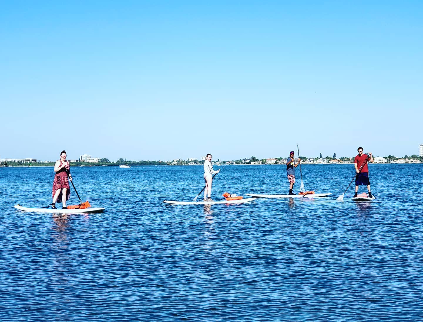 Lots of dolphin encounters this week!  #siestakeypaddleboards @siestakeypaddleboards #siestakey #siesta #sarasota