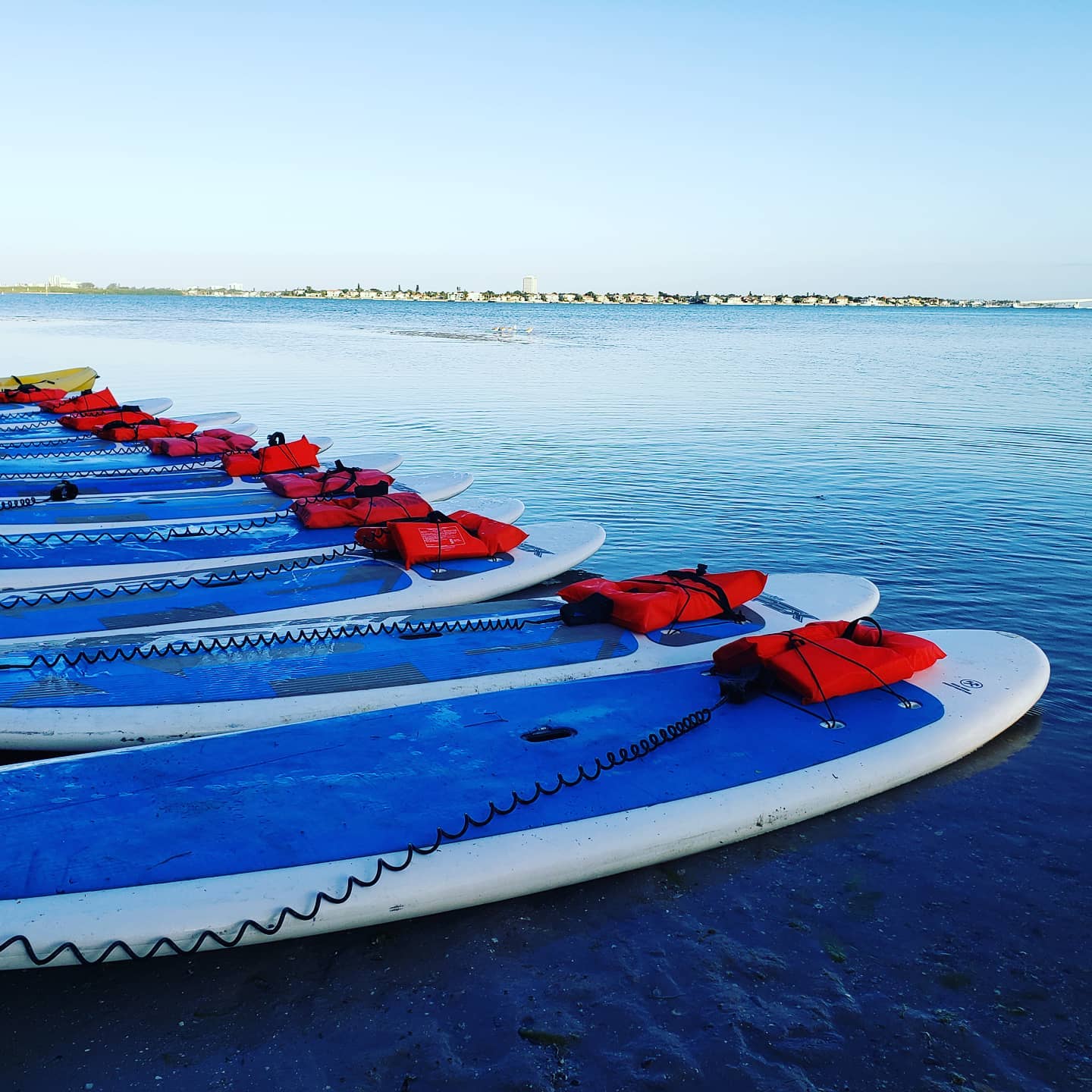 Spring Break is here! #siestakeypaddleboards #siestakey #siesta