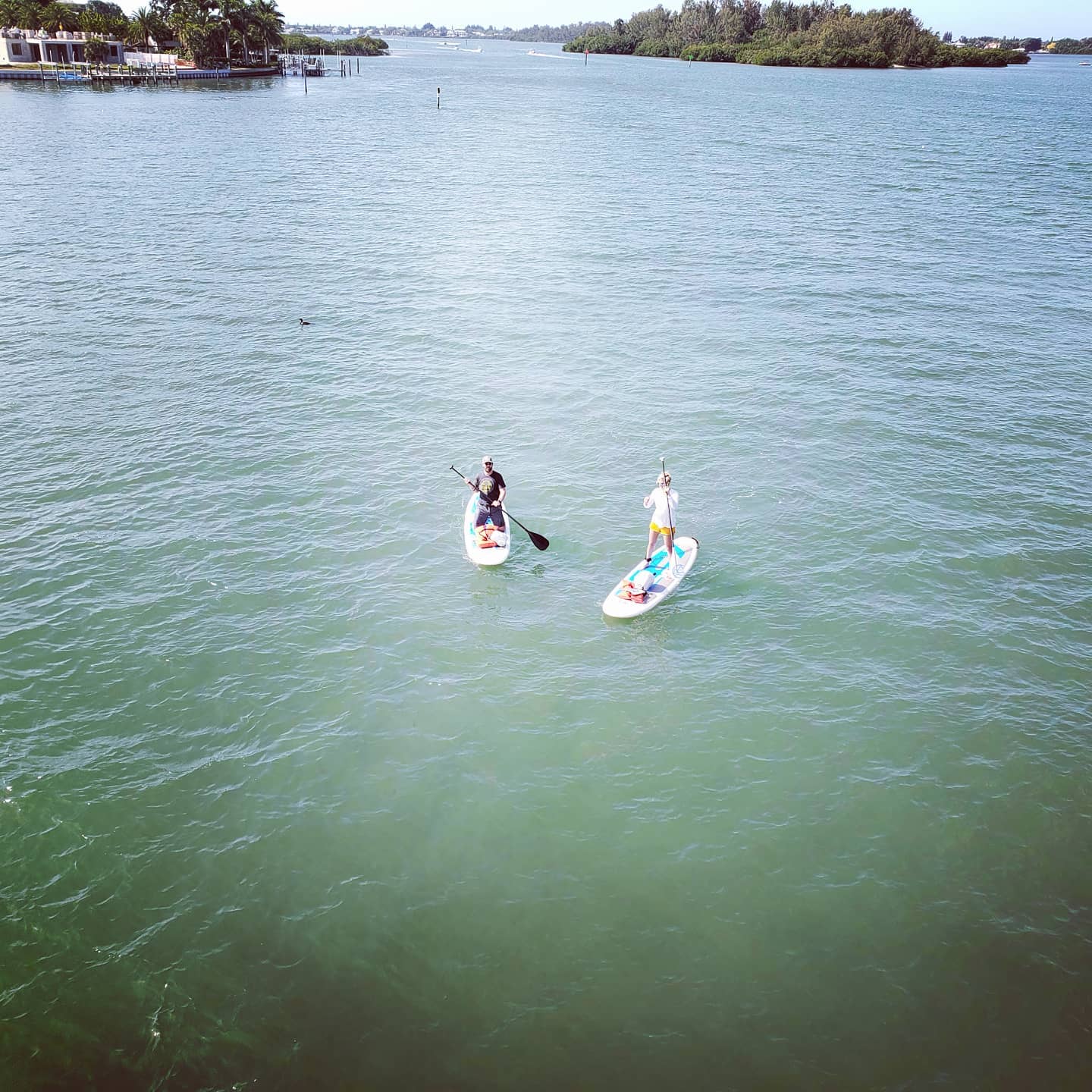 Early morning paddle on the bay! #siestakeypaddleboards #siestakey #siesta #siestakeypaddleboards