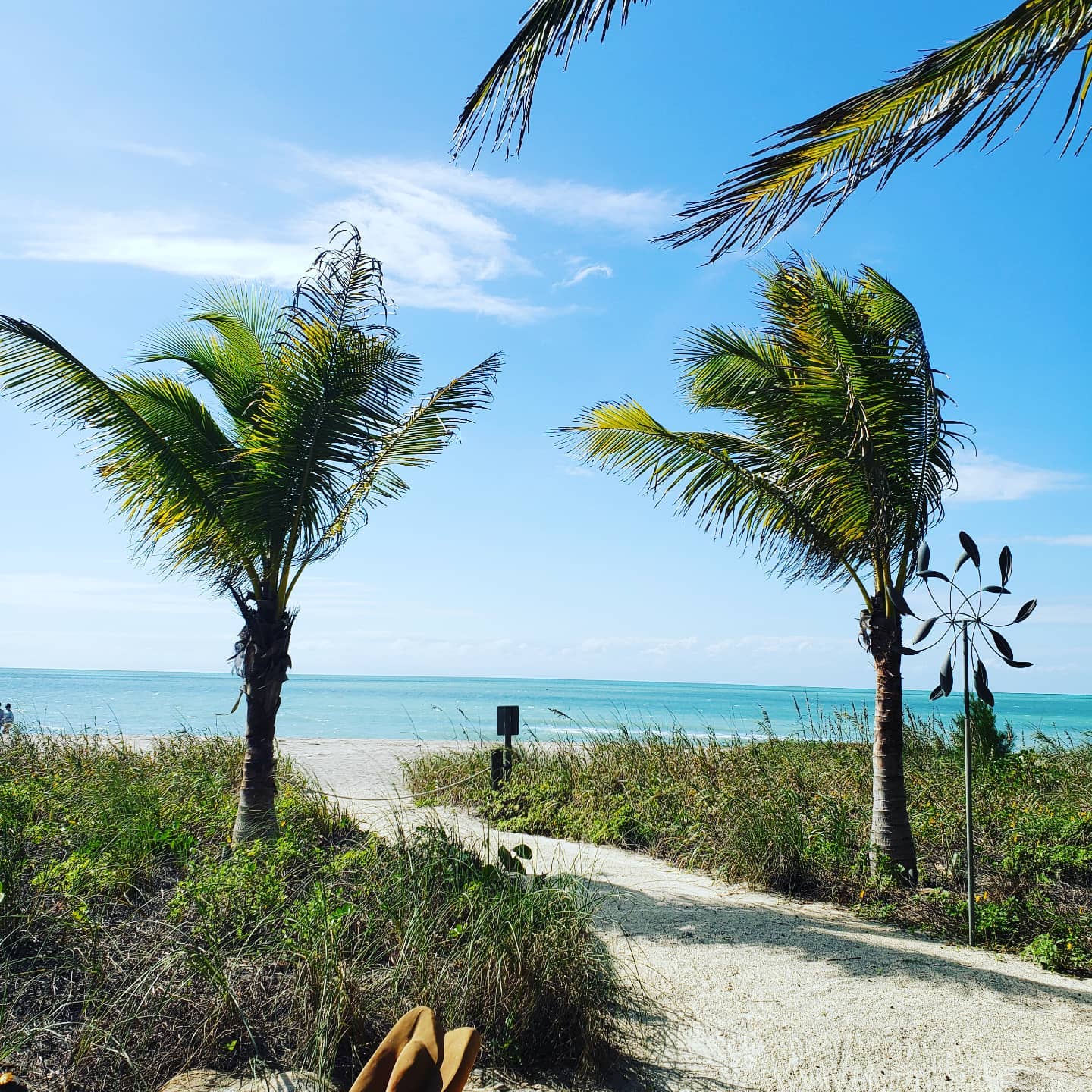 What a beautiful day for a paddle! @siestakeypaddleboards