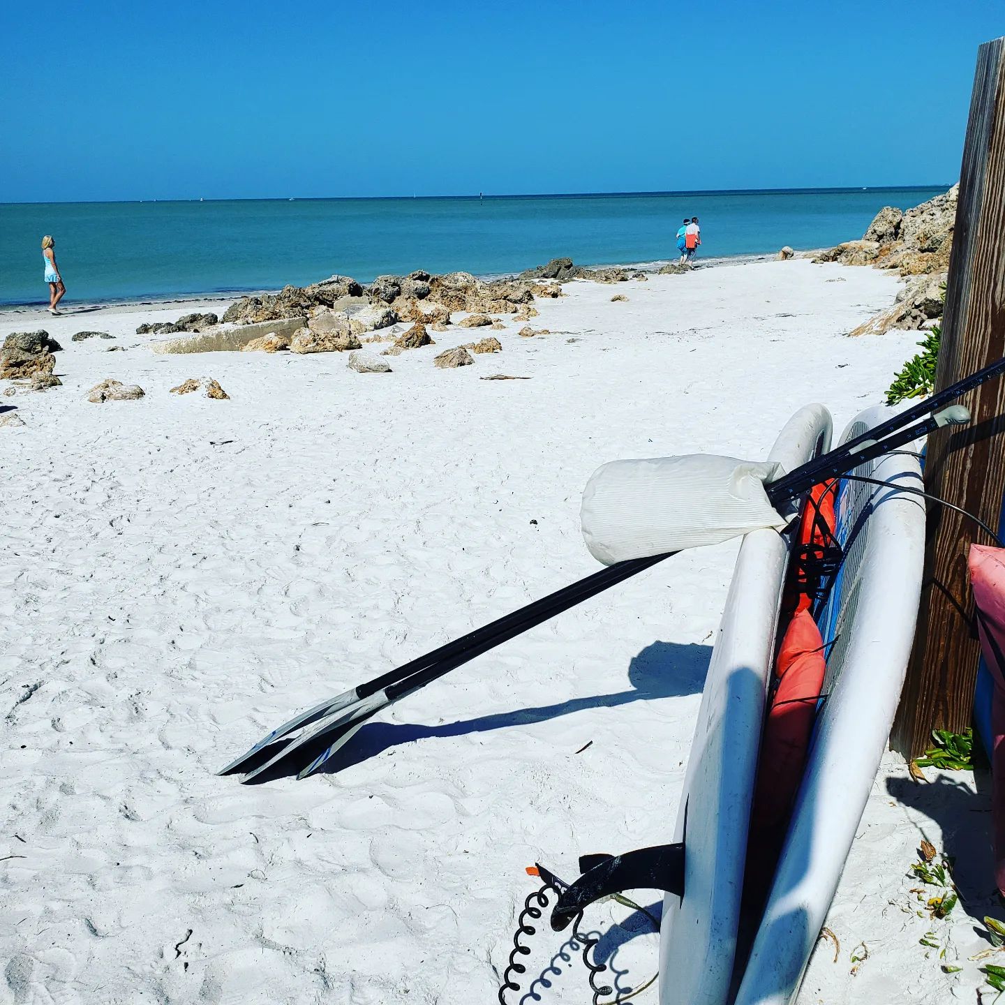 It's a beautiful day out on the beach! @siestakeypaddleboards