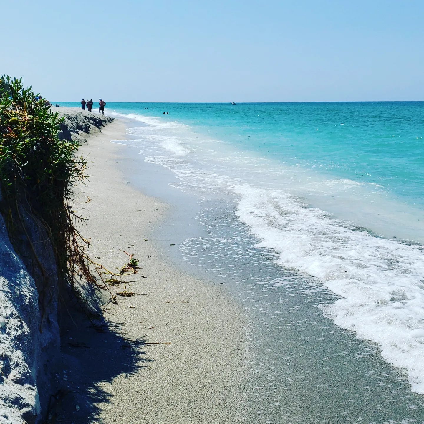 Another beautiful spring day! @siestakeypaddleboards #siestakeypaddleboards #siesta #siestakey